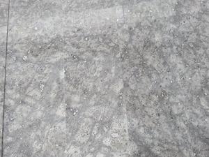 Silver Fox Light Gery Granite Indoor Wall Slabs