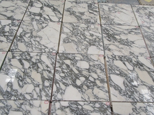 Arabescato Corchia Marble Polished