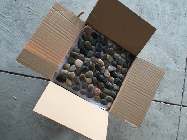 Mixed Color Pebbles Stones Garden Landscaping