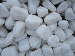 White Color River Pebble Stone Tile