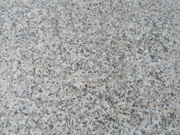 WL Flower Red Granite Slab Building Stones