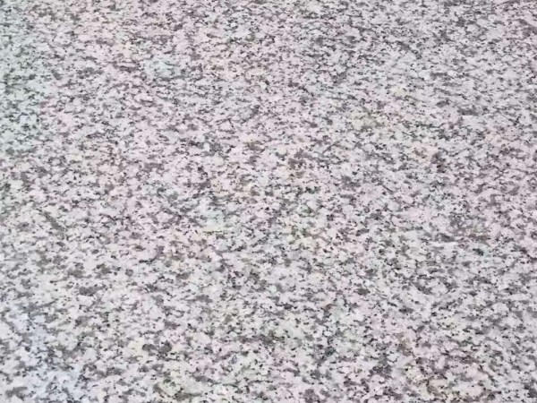 New G655 White Granite 240up Economic Slab