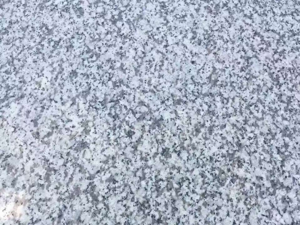 New G655 White Granite 240up Economic Slab