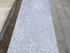 New G655 White Granite 240up Economic Slab