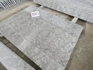 Silver Fox Light Gery Granite Indoor Wall Slabs