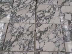 Arabescato Corchia White Marble