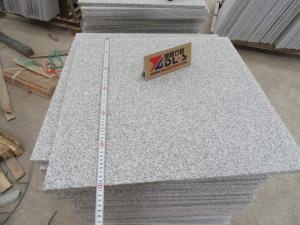 G603 White And Gray Granite Flamed Paving Tiles