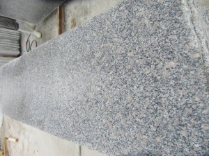 Polished Pearl Flower G383 Granite Wall Covering Tiles