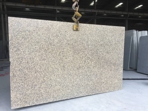 China Chrysanthemum Yellow Granite Slab For Countertop Worktop