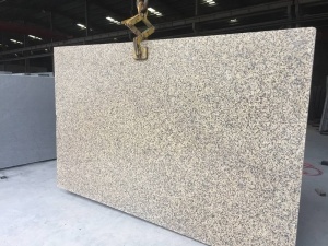 China Chrysanthemum Yellow Granite Slab For Countertop Worktop