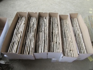 Tiger Skin Yellow Quartzite Culture Stone Panels