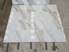 Castro White Marble Slab Bookmatched Vein Cut Panel