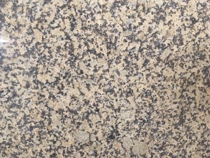 China Chrysanthemum Yellow Granite Slab