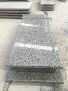 Swan Grey Granite Poland Design Tomb