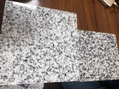 Cheap White Granite Grey Granite Slab Tile