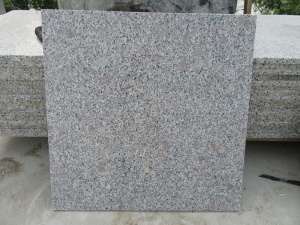 G383 Pearl Flower Grey Granite Most Popular Tile