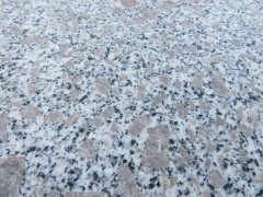 china Pearl Flower G383 Granite Tiles Cut To Size