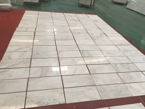 China Castro White Marble Tiles